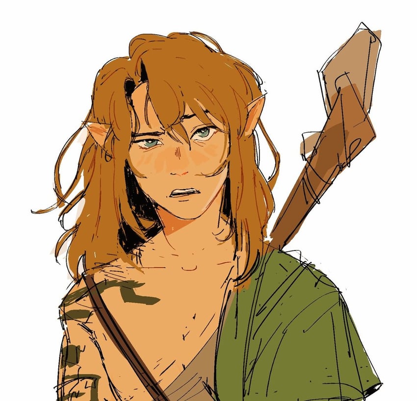 link (the legend of zelda and 1 more) drawn by soyochii