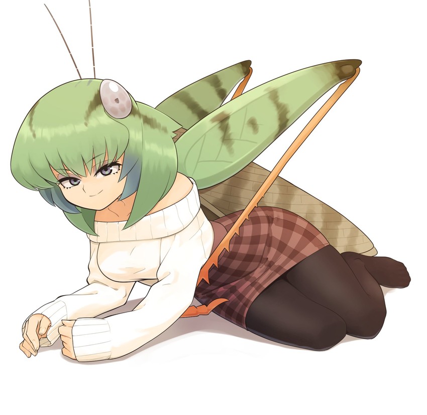 grasshopper inoue (original and 1 more) drawn by evolvingmonkey