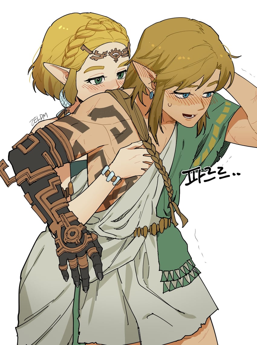 link and princess zelda (the legend of zelda and 1 more) drawn by zeldm