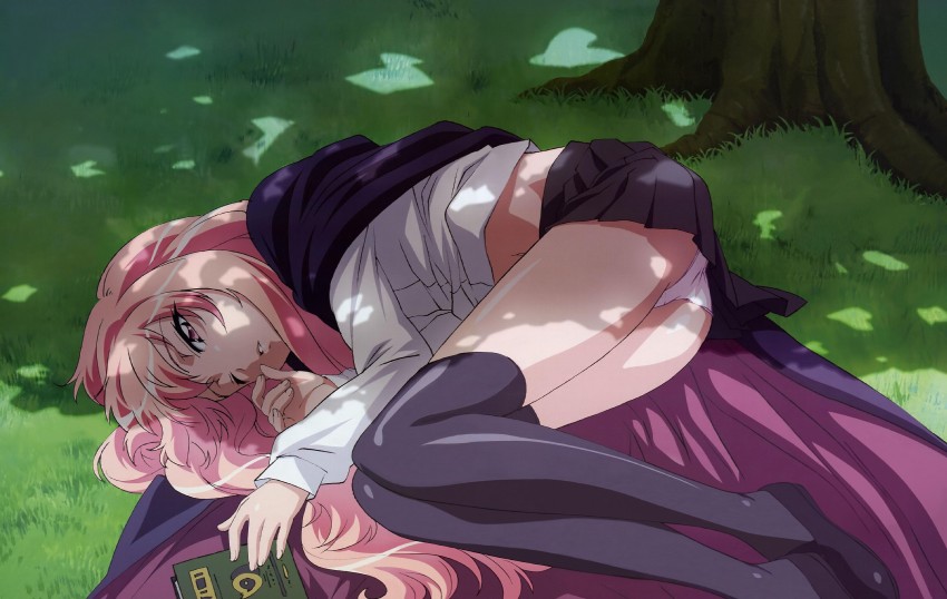 louise francoise le blanc de la valliere (zero no tsukaima) drawn by fujii_masahiro