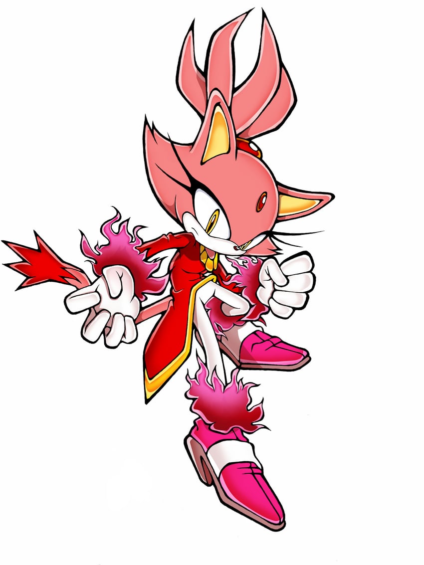 blaze the cat and burning blaze (sonic and 1 more) drawn by neo_(blazykun)