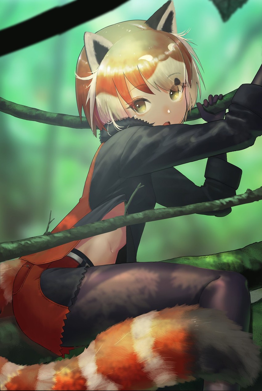 red panda (kemono friends and 1 more) drawn by autism_wanderer