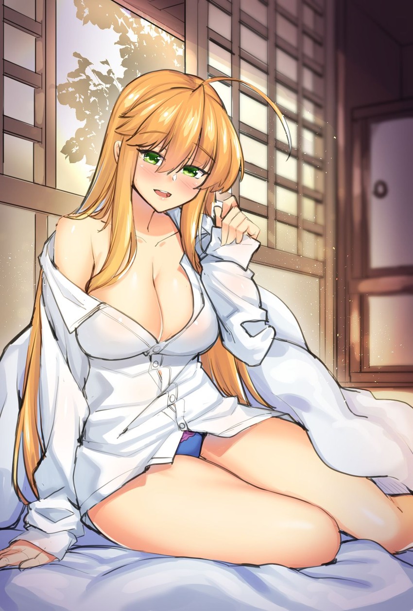artoria pendragon (fate and 1 more) drawn by shirokuma_a
