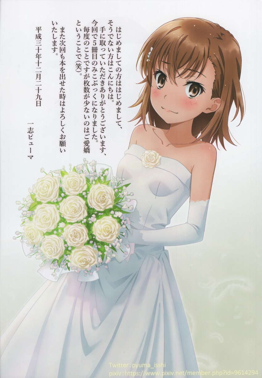 misaka mikoto (toaru majutsu no index and 1 more) drawn by isshi_pyuma