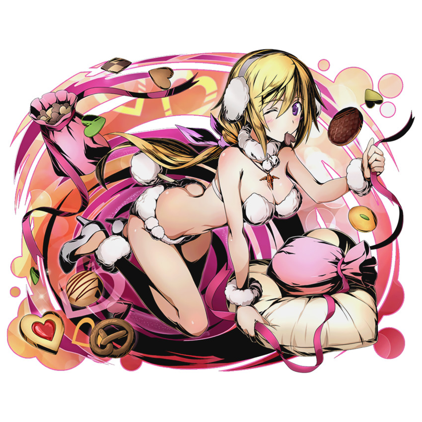 charlotte dunois (infinite stratos and 1 more) drawn by ucmm