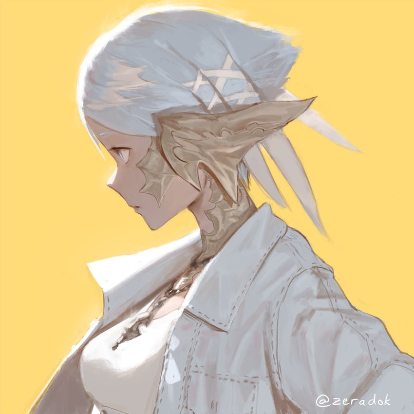 warrior of light (final fantasy and 1 more) drawn by zeradok