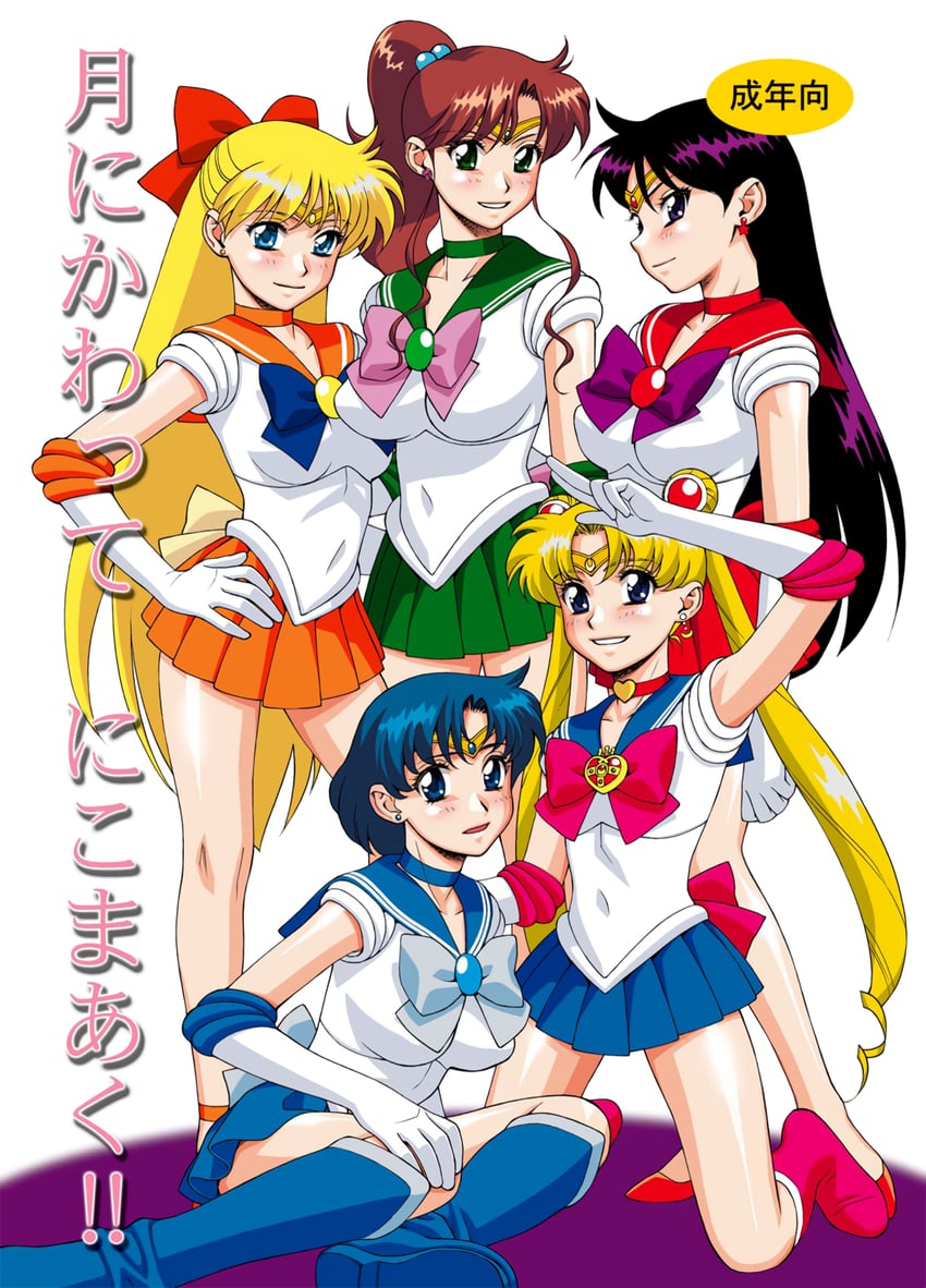 tsukino usagi, sailor moon, mizuno ami, aino minako, hino rei, and 5 more (bishoujo senshi sailor moon and 1 more) drawn by minazuki_juuzou