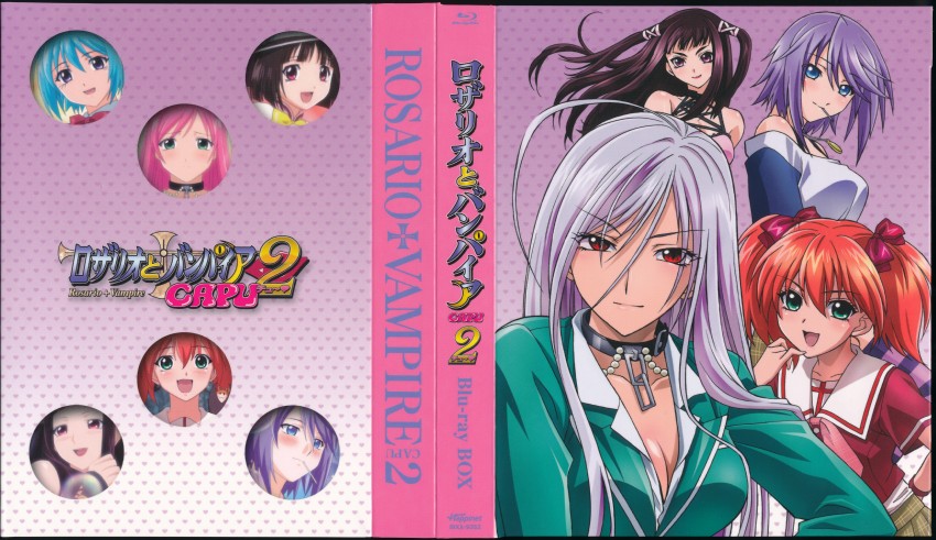 akashiya moka, shirayuki mizore, kurono kurumu, inner moka, sendou yukari, and 2 more (rosario+vampire and 1 more)