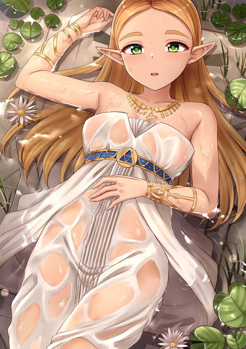 princess zelda (the legend of zelda and 1 more) drawn by skywalker0610