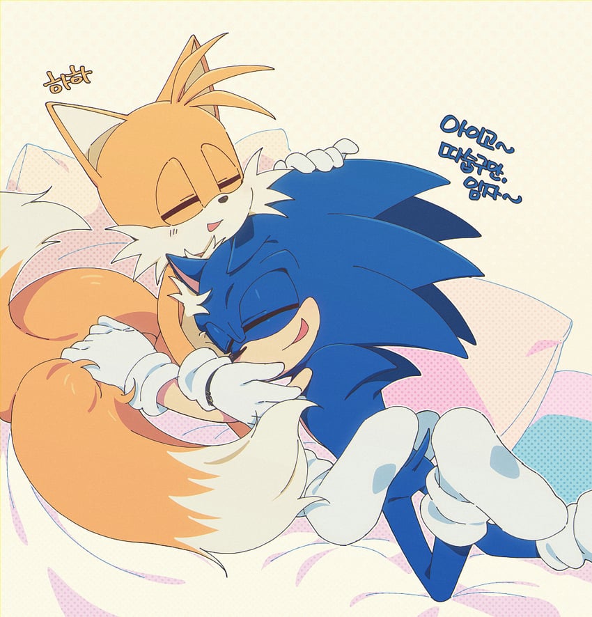 sonic the hedgehog and tails (sonic) drawn by banri_0917