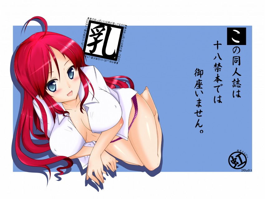 hong meiling (touhou) drawn by sanaka
