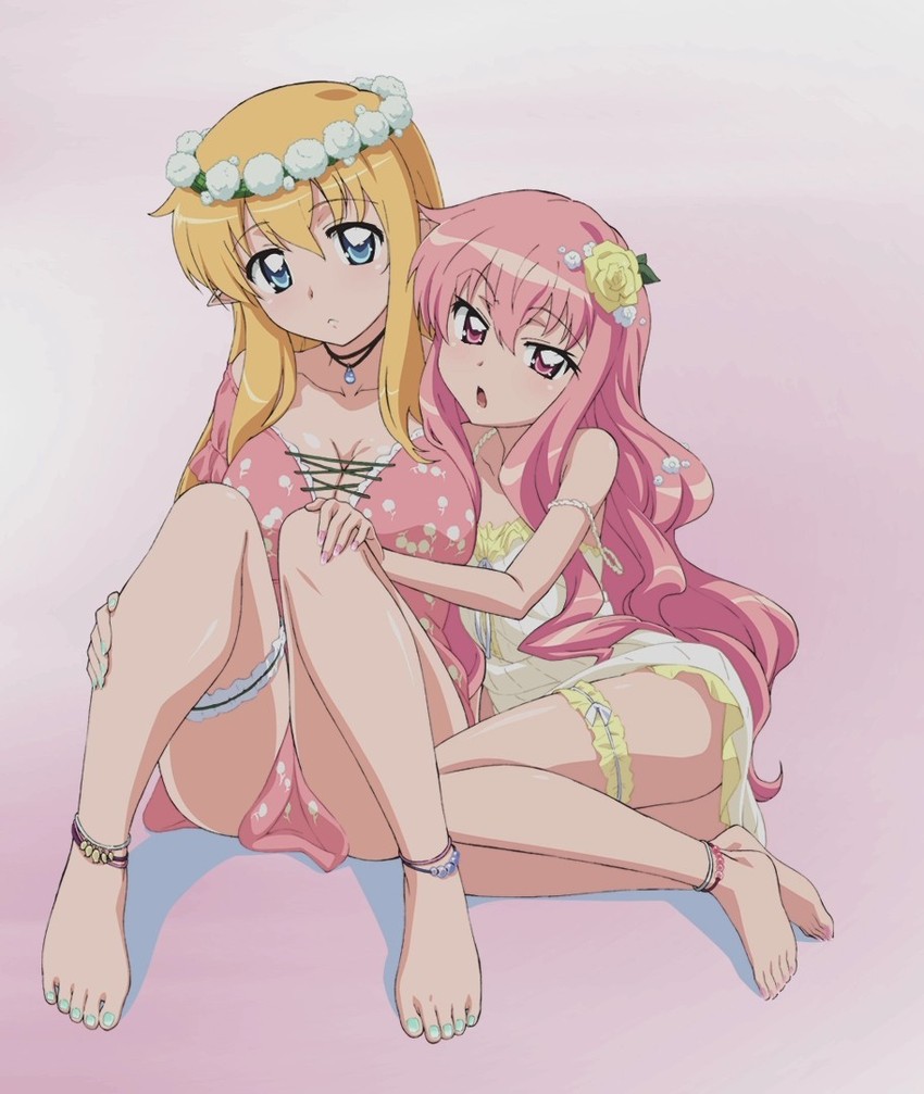 louise francoise le blanc de la valliere and tiffania westwood (zero no tsukaima) drawn by fujii_masahiro