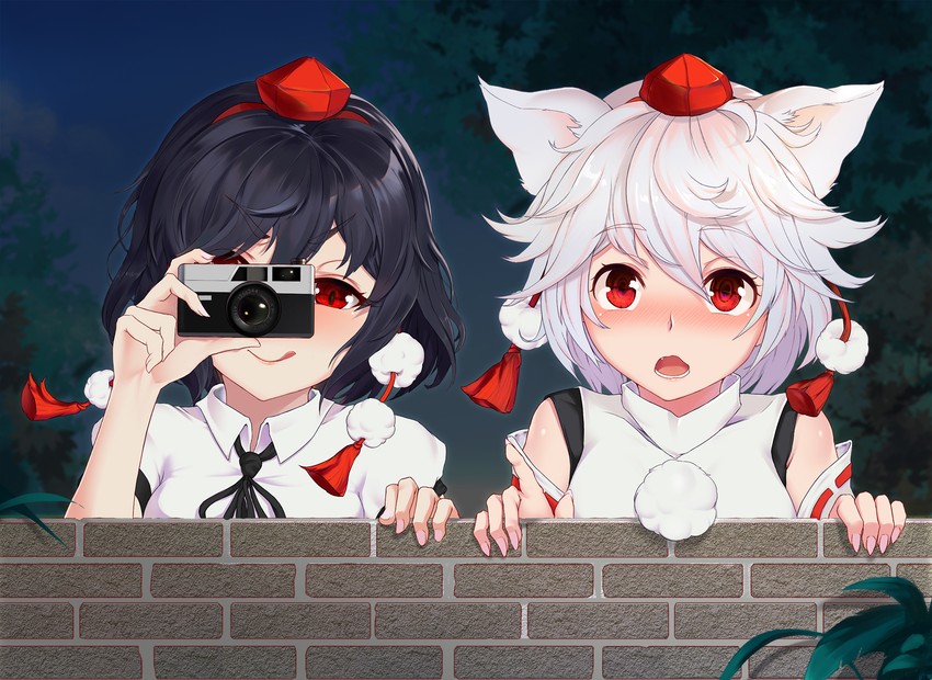 shameimaru aya and inubashiri momiji (touhou) drawn by xiumu_bianzhou