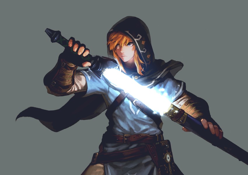link (the legend of zelda and 1 more) drawn by jun_(navigavi)