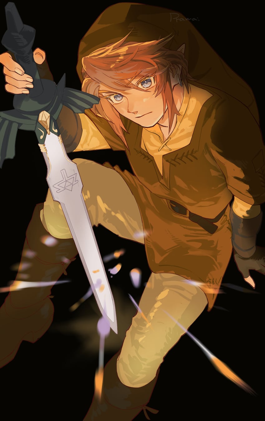 link (the legend of zelda and 1 more) drawn by pra_11