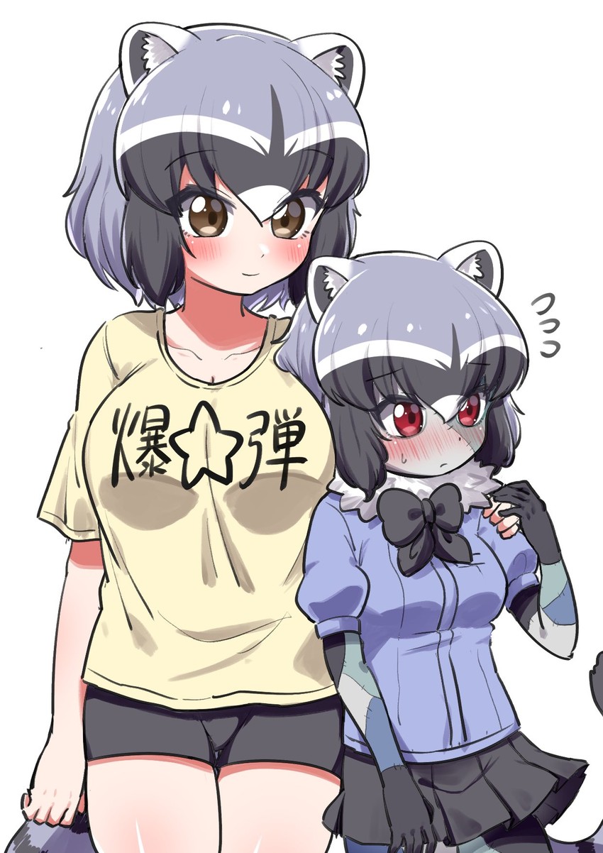 common raccoon and konno junko (kemono friends and 1 more) drawn by ngetyan