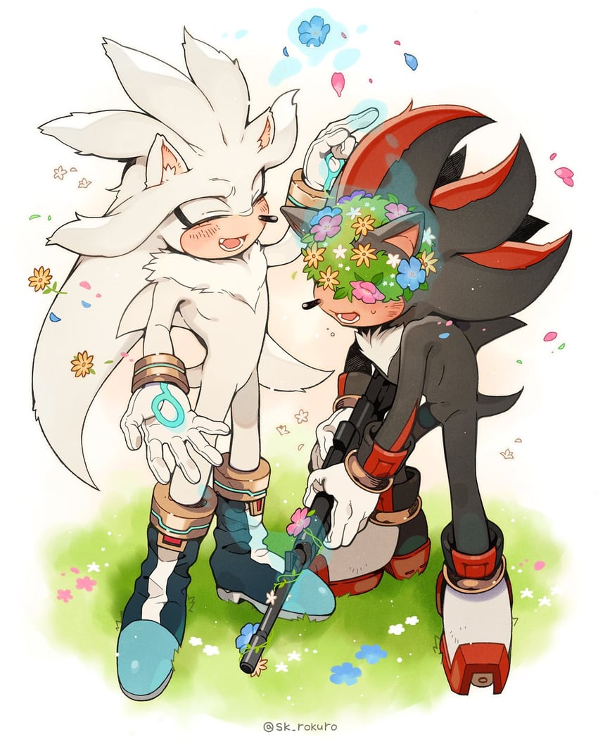shadow the hedgehog and silver the hedgehog (sonic) drawn by sk_rokuro