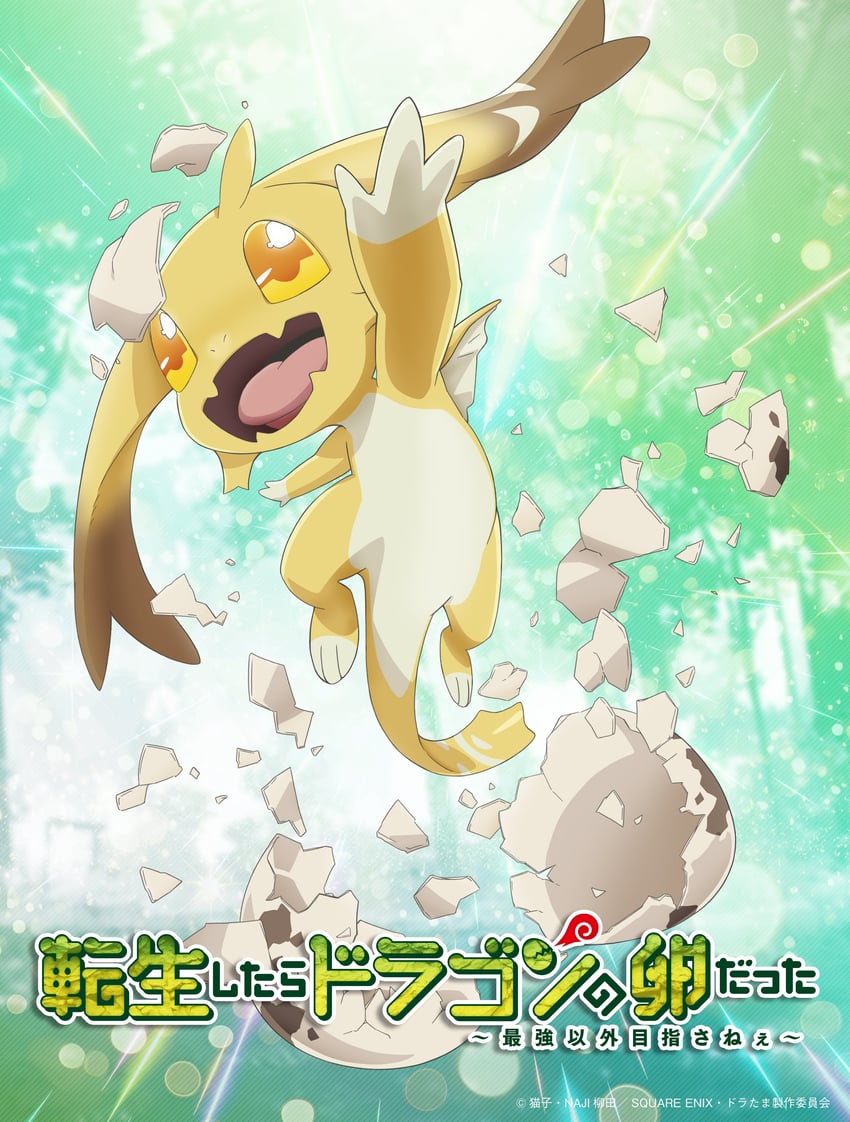 illusia (tensei shitara dragon no tamago datta: saikyou igai mezasa nee)