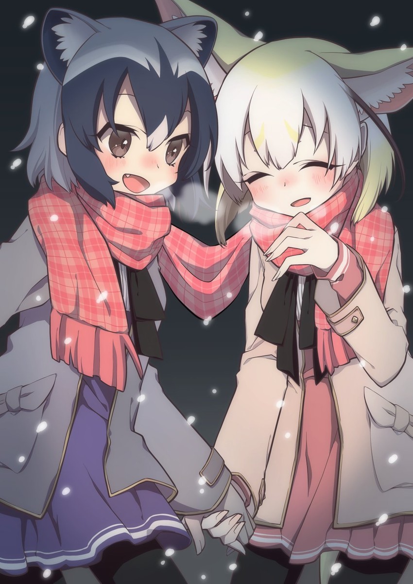 common raccoon and fennec (kemono friends) drawn by petit_ramune