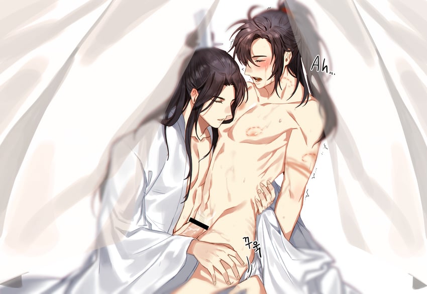 wei wuxian and lan wangji (modao zushi) drawn by jujeop