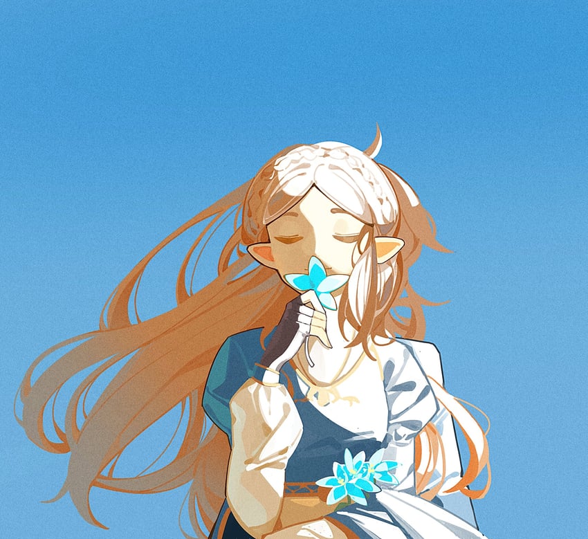 princess zelda (the legend of zelda and 1 more) drawn by haobuguniao