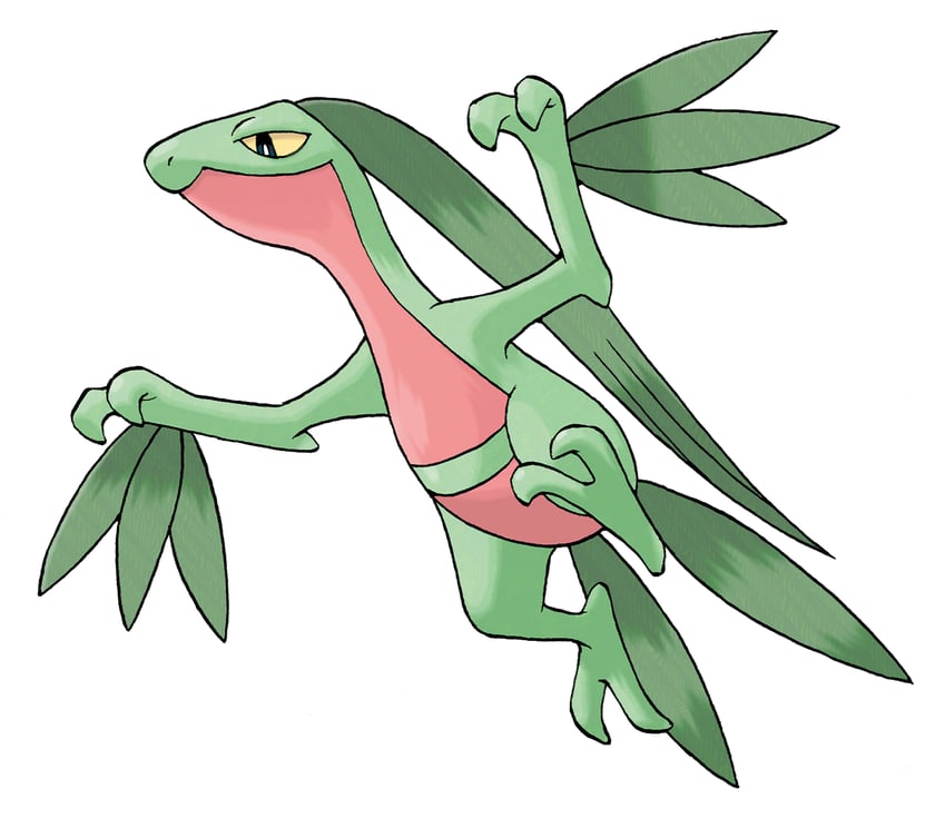 grovyle (pokemon and 1 more) drawn by sugimori_ken
