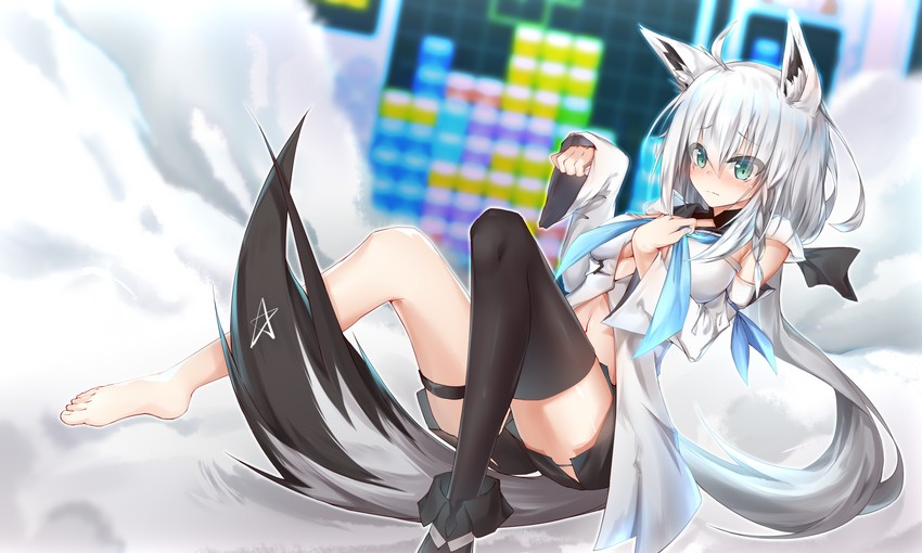 shirakami fubuki (hololive and 1 more) drawn by qinshi-ji