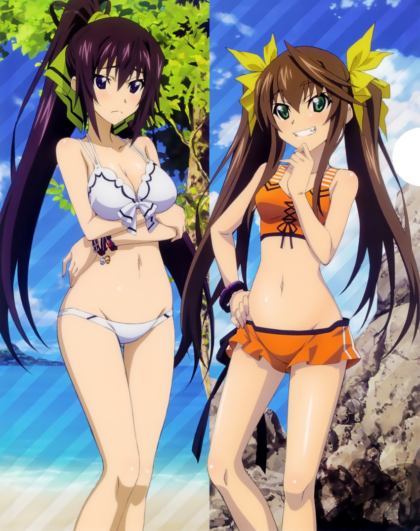 shinonono houki and huang lingyin (infinite stratos) drawn by hashimoto_takayoshi