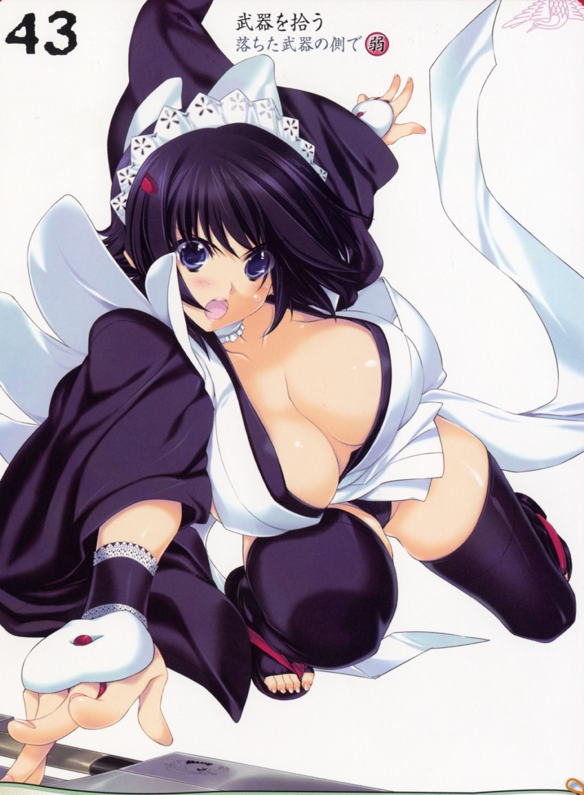 iroha (queen's blade and 2 more) drawn by iizuki_tasuku
