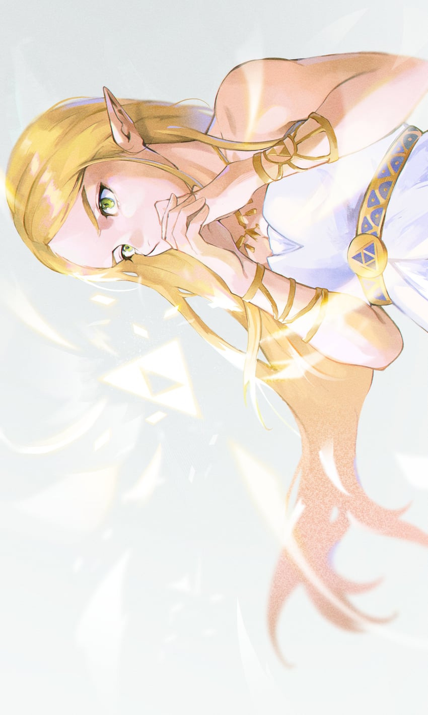 princess zelda (the legend of zelda and 1 more) drawn by lavabun