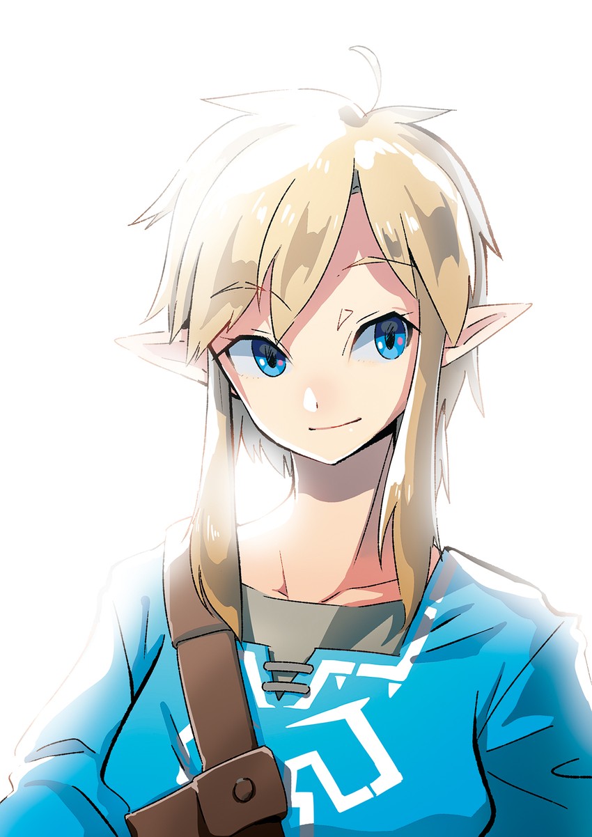 link (the legend of zelda and 1 more) drawn by sumomo