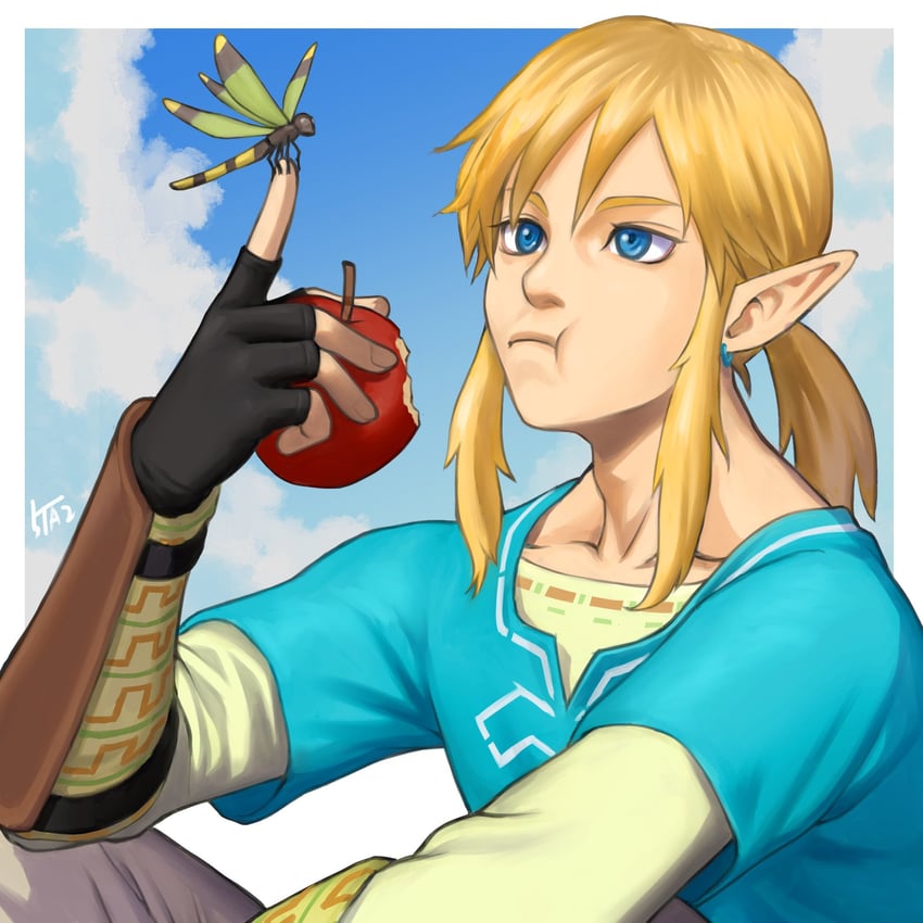 link (the legend of zelda and 1 more) drawn by 5tatsu