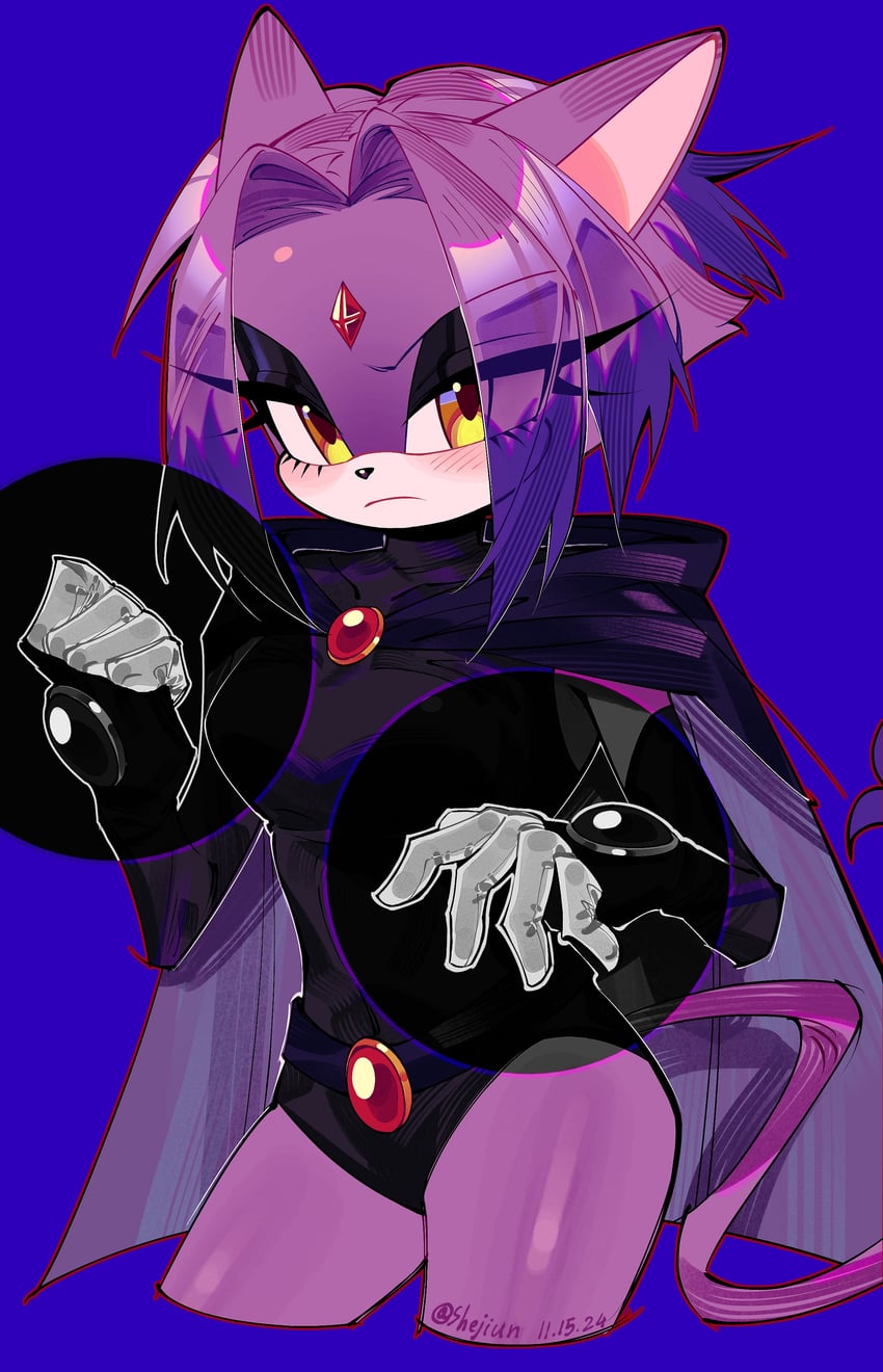 blaze the cat and raven (sonic and 3 more) drawn by usheriiu