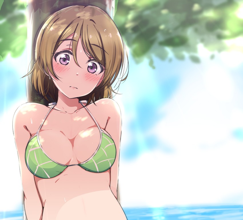 koizumi hanayo (love live! and 1 more) drawn by ankoiri