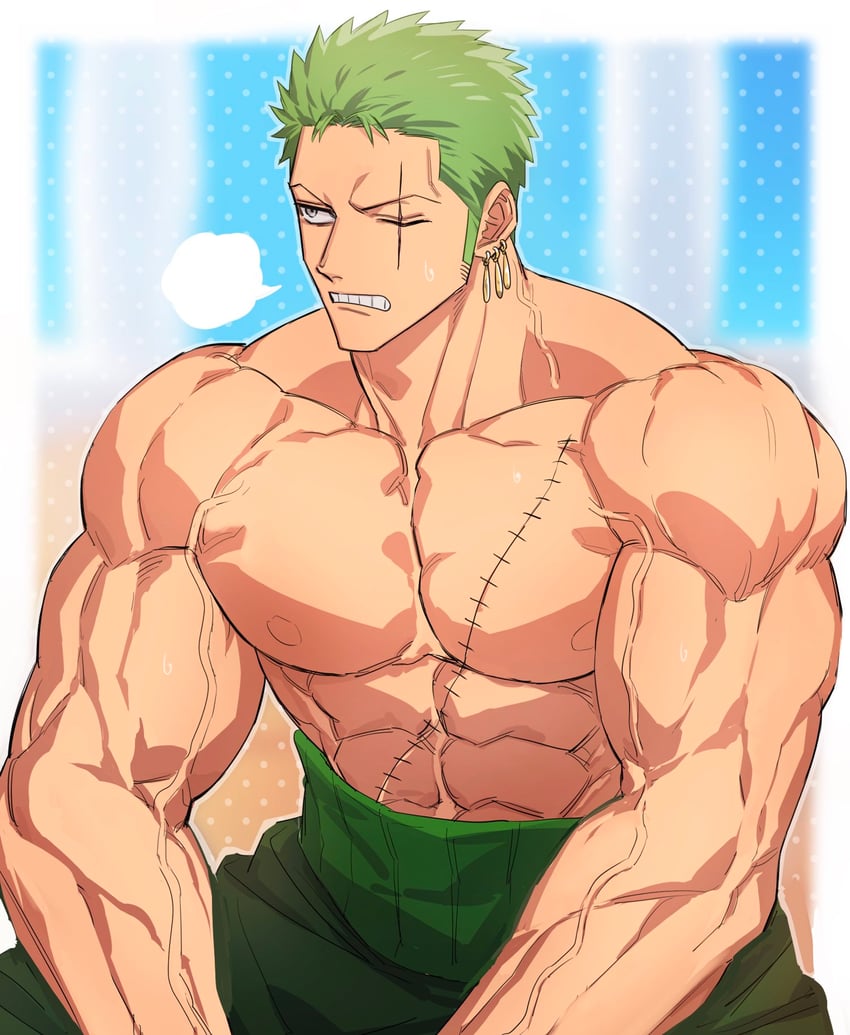 roronoa zoro (one piece) drawn by domo_(domo_kizusuki)