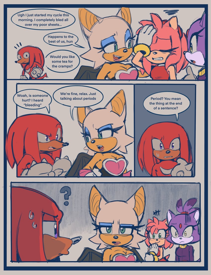 amy rose, blaze the cat, rouge the bat, and knuckles the echidna (sonic) drawn by qkora01