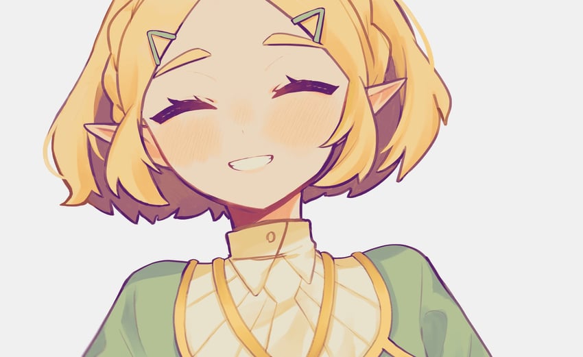 princess zelda (the legend of zelda and 1 more) drawn by 710kcal