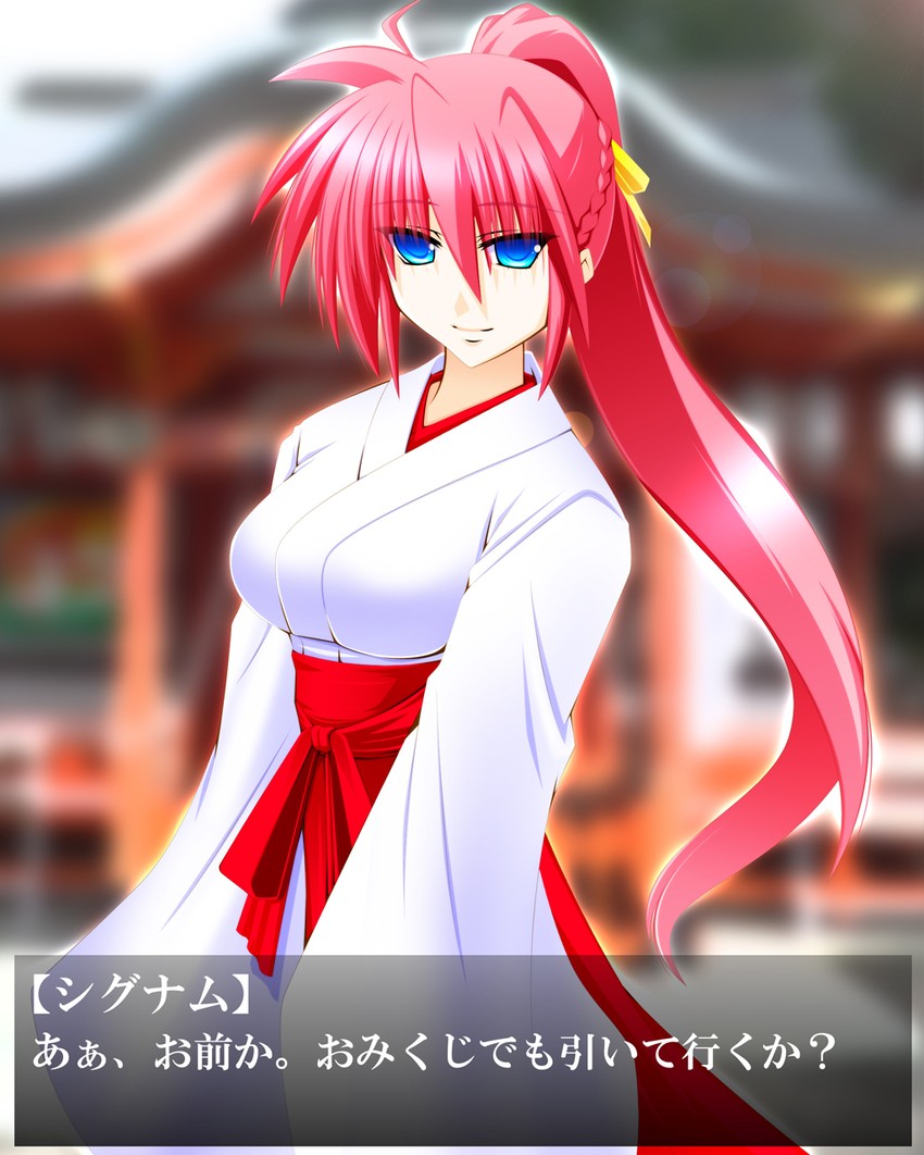 signum (lyrical nanoha and 2 more) drawn by engo_(aquawatery)