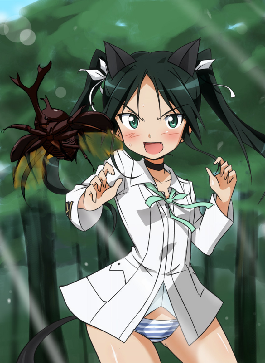 francesca lucchini (world witches series and 1 more) drawn by tokiani
