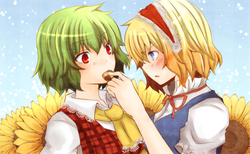 alice margatroid and kazami yuuka (touhou) drawn by ico_(engawa_roman)
