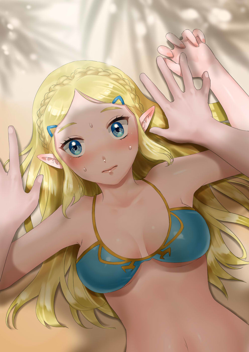 princess zelda (the legend of zelda and 1 more) drawn by wasabi_(legemd)