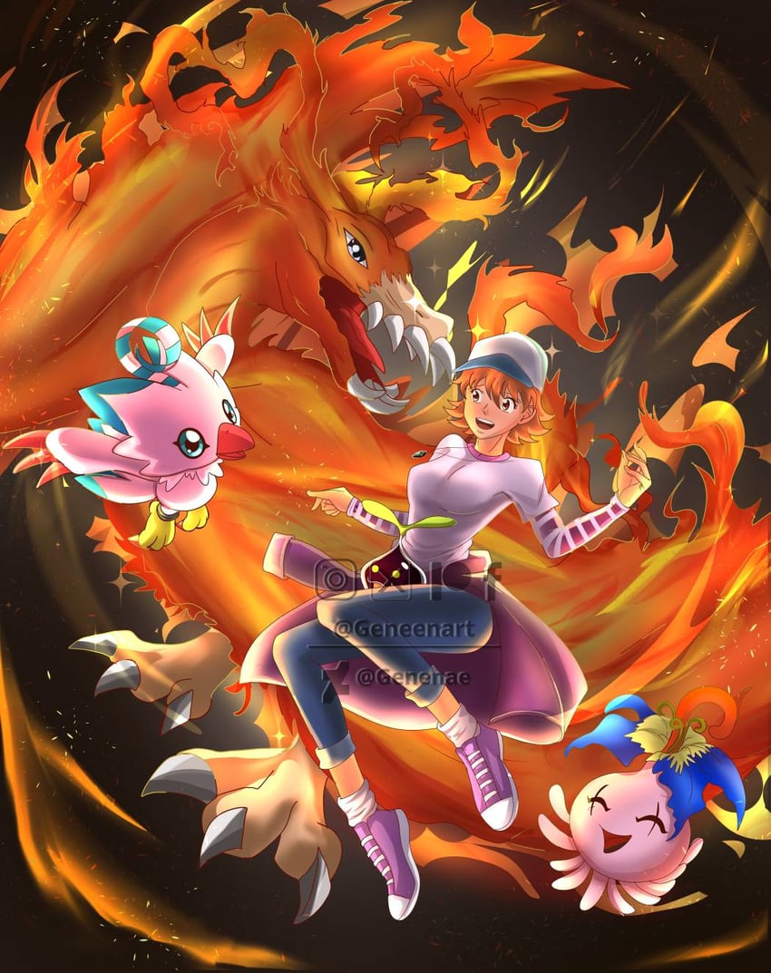 takenouchi sora, piyomon, pyocomon, and birdramon (digimon and 1 more) drawn by genenaeart