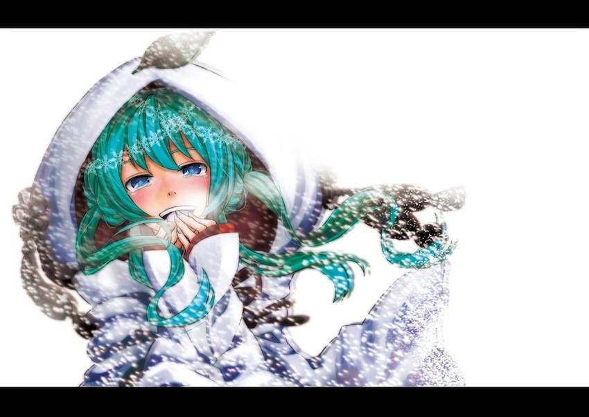 hatsune miku and yuki miku (vocaloid) drawn by eiou_(cook-look)