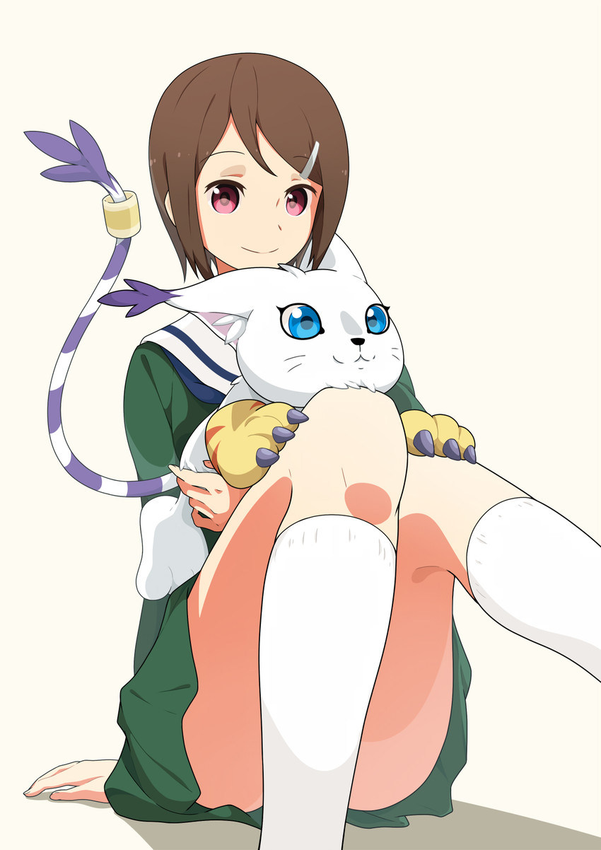 yagami hikari and tailmon (digimon and 1 more) drawn by kentsdesign