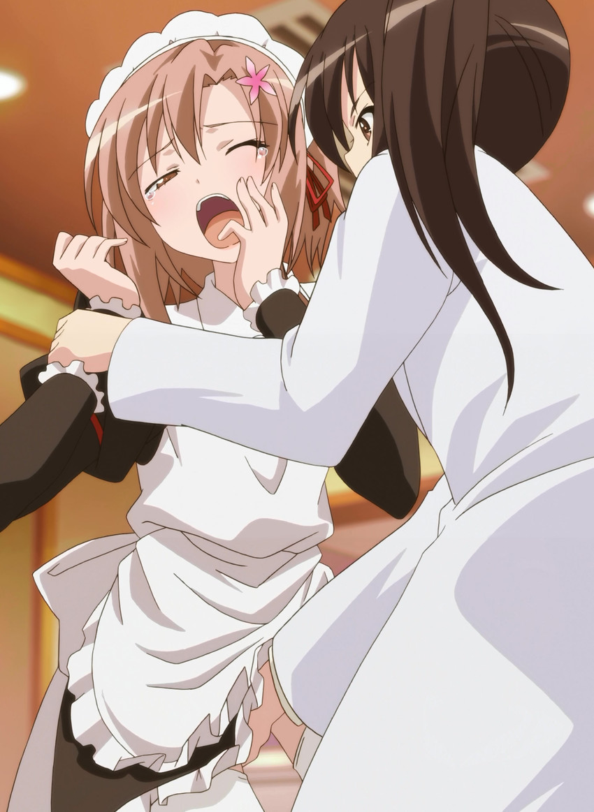 shiguma rika and kusunoki yukimura (boku wa tomodachi ga sukunai)
