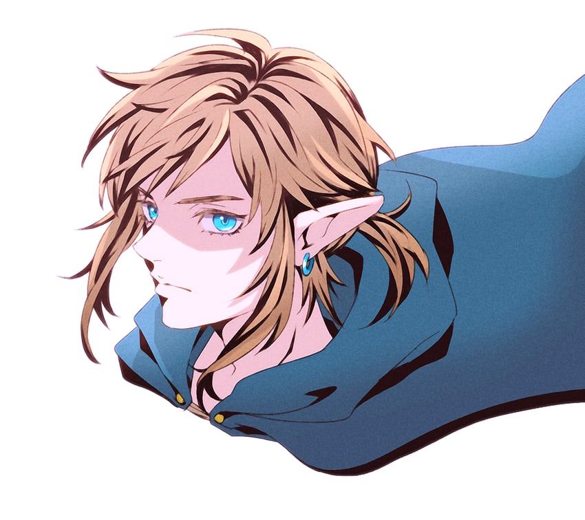 link (the legend of zelda and 1 more) drawn by chiru_(sanifani)