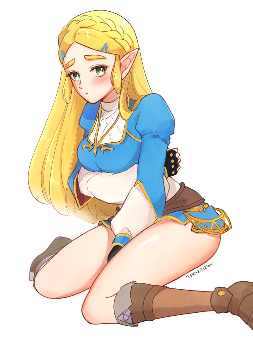 princess zelda (the legend of zelda and 1 more) drawn by teraichigo