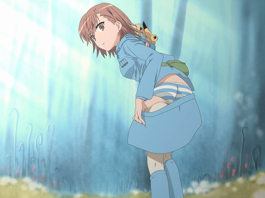 pikachu, misaka mikoto, misaka imouto, nausicaa, teto, and 1 more (pokemon and 4 more) drawn by shirosato