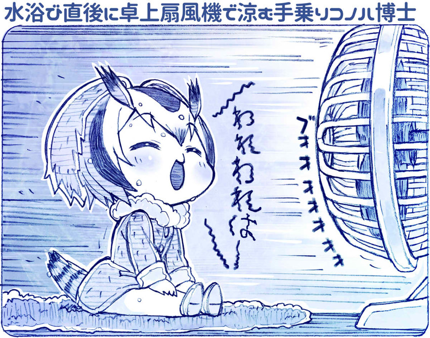 northern white-faced owl (kemono friends) drawn by sakino_shingetsu