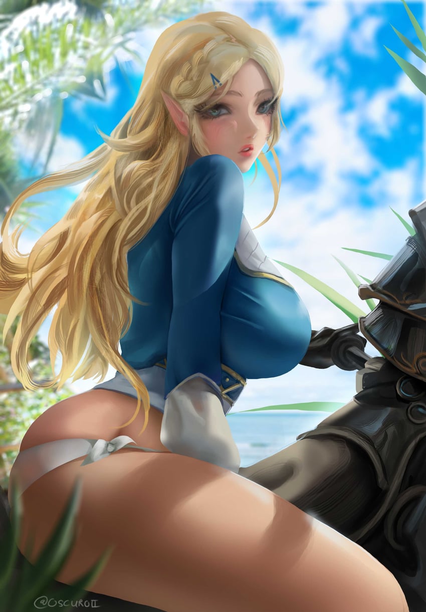 princess zelda (the legend of zelda and 1 more) drawn by oscuroii
